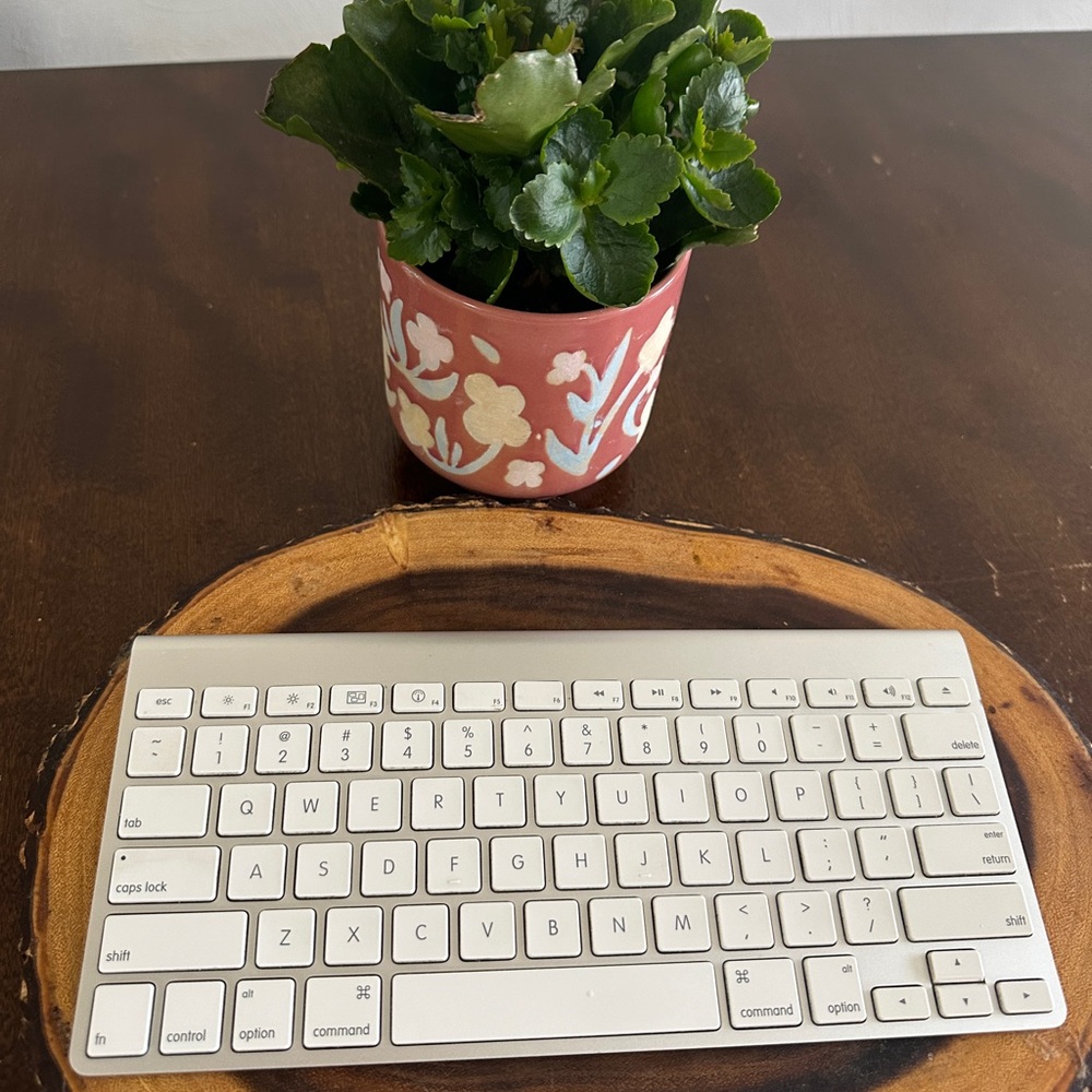 Apple Bluetooth Model Magic A1314 Wireless Keyboard